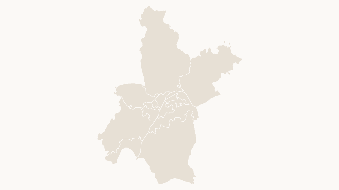 Wuhan Districts map preview