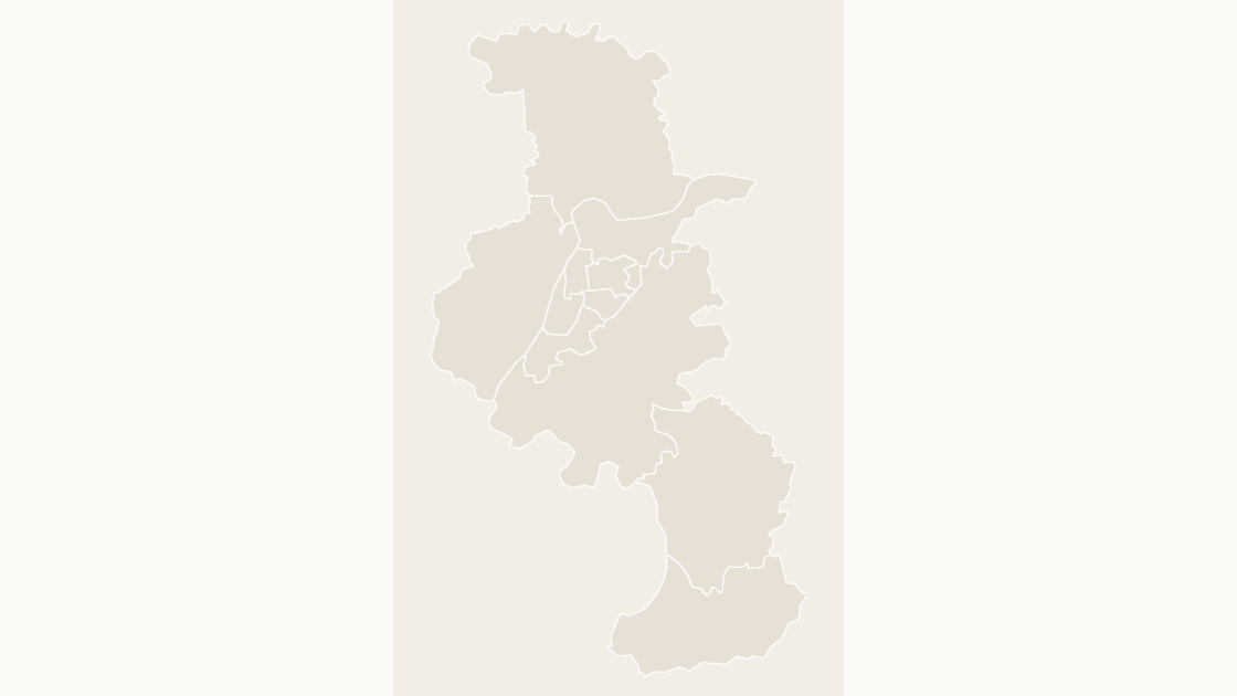Nanjing Districts map preview