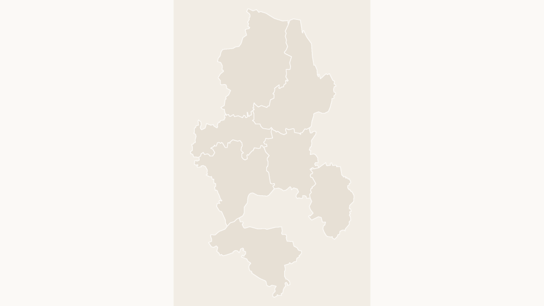 Binzhou Counties map preview