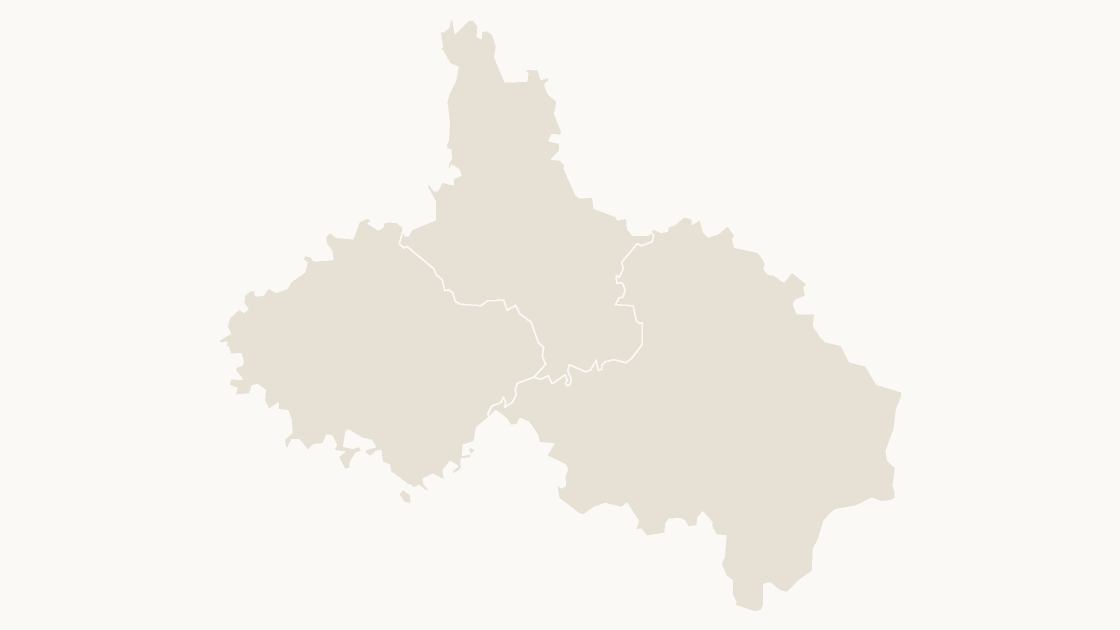 Ziyang Counties map preview