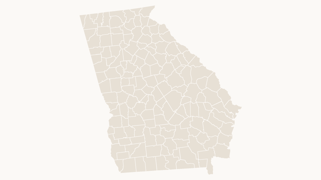 Georgia Counties map preview in the editorial theme