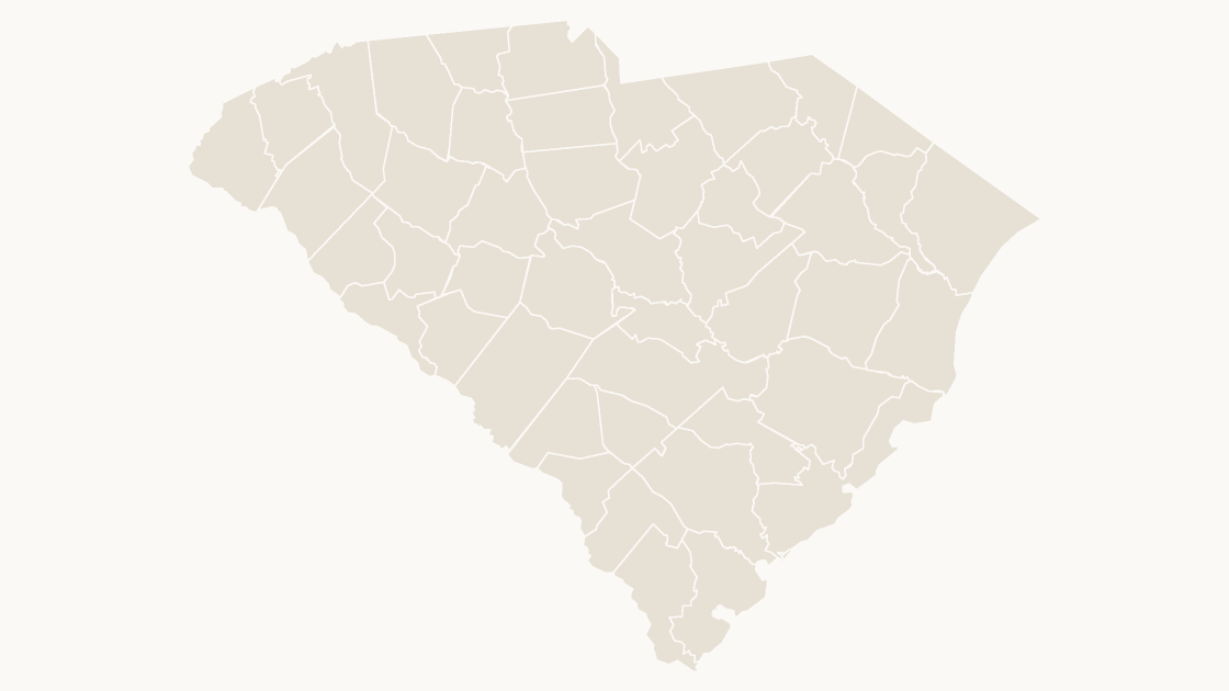 South Carolina Counties map preview in the editorial theme