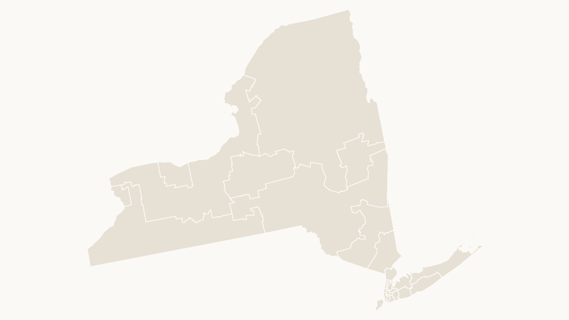 New York Congressional Districts map preview in the editorial theme