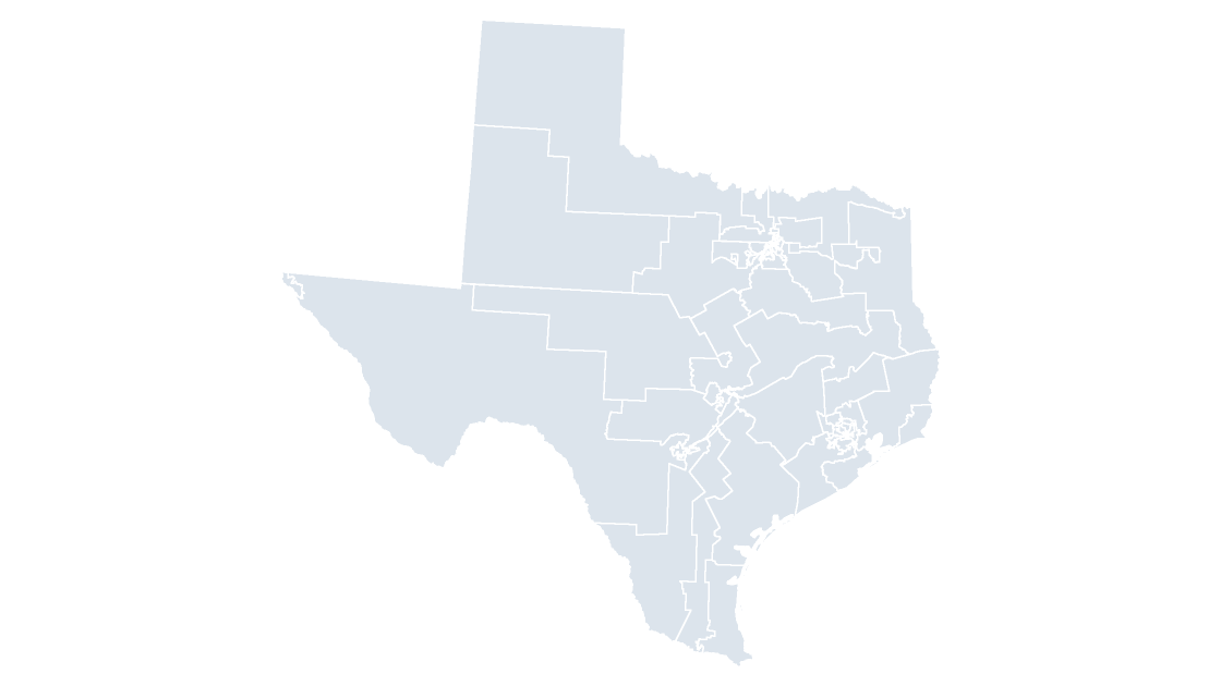 Texas Congressional Districts map preview