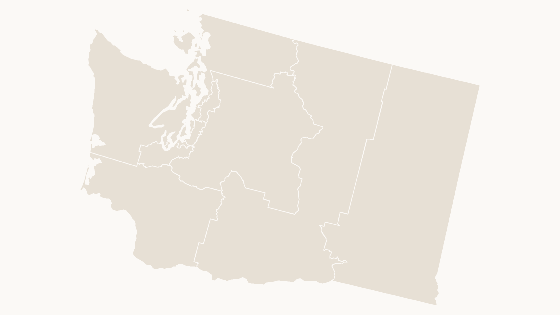 Washington Congressional Districts map preview in the editorial theme