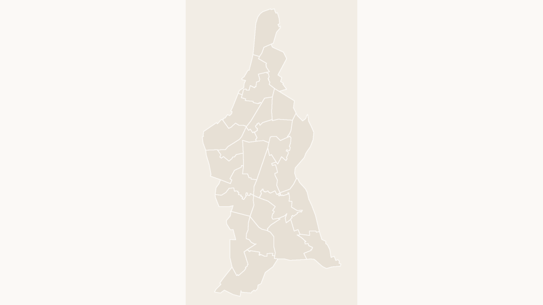 Lambeth Wards map preview in the editorial theme