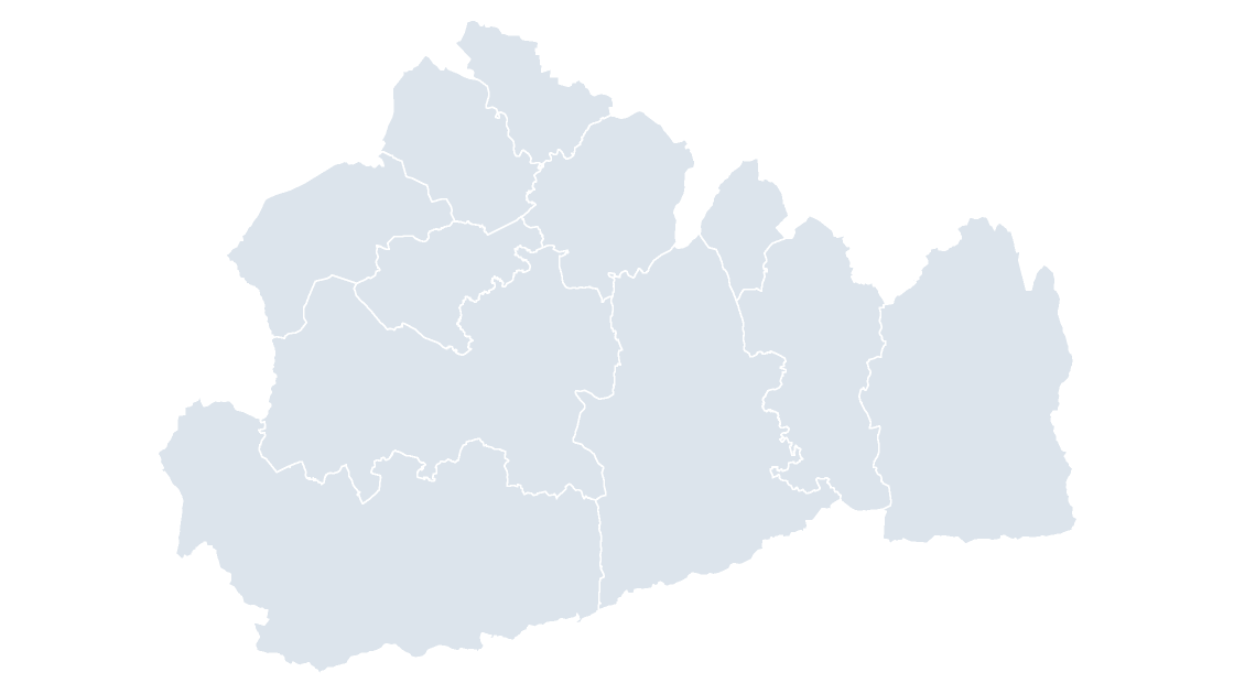 Surrey Districts map preview