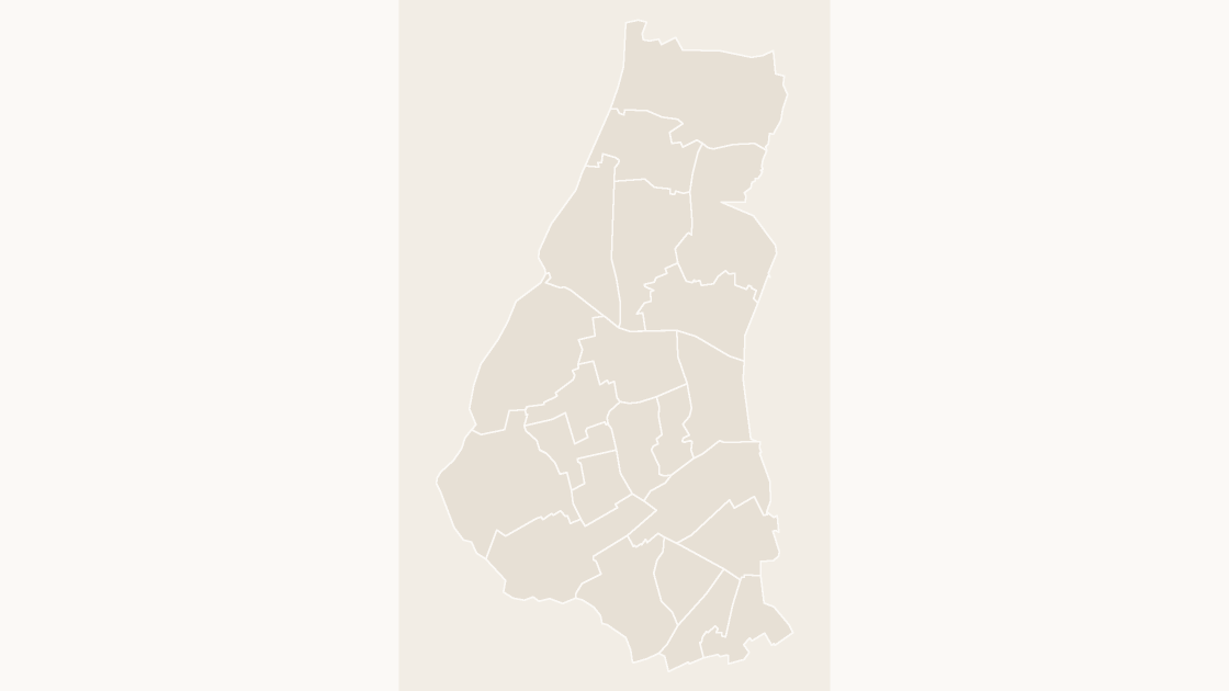 Waltham Forest Wards map preview in the editorial theme